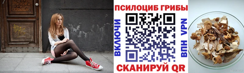 Галлюциногенные грибы Cubensis  Ноябрьск 